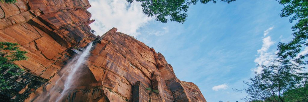 about-bg About Bg 1024x341 1